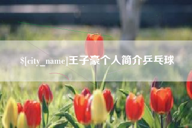 南阳王子豪个人简介乒乓球