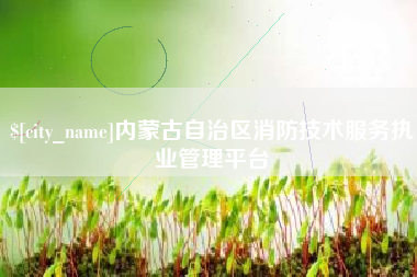 南阳内蒙古自治区消防技术服务执业管理平台