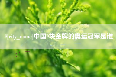 南阳中国9块金牌的奥运冠军是谁