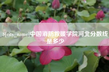 南阳中国消防救援学院河北分数线是多少