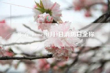 南阳11月9日消防日全称