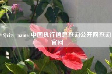 南阳中国执行信息查询公开网查询官网