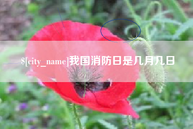 南阳我国消防日是几月几日
