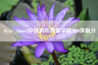 南阳中国消防救援学院2020录取分