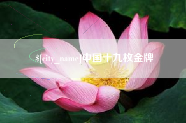 南阳中国十九枚金牌