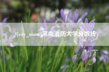 南阳河南消防大学分数线