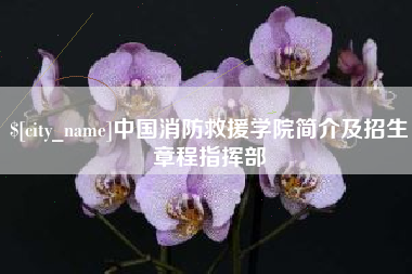 南阳中国消防救援学院简介及招生章程指挥部