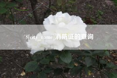 南阳消防证的查询