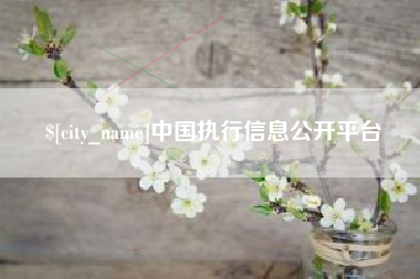 南阳中国执行信息公开平台