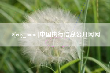 南阳中国执行信息公开网网