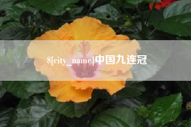 南阳中国九连冠