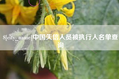 南阳中国失信人员被执行人名单查询