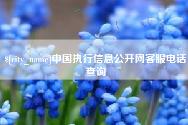 南阳中国执行信息公开网客服电话查询