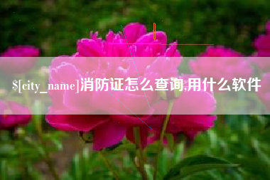 南阳消防证怎么查询,用什么软件