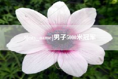 南阳男子5000米冠军