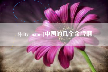 南阳中国的几个金牌啊