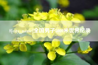 南阳全国男子5000米世界纪录