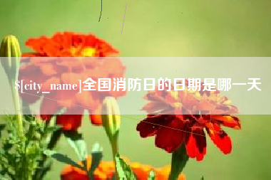 南阳全国消防日的日期是哪一天