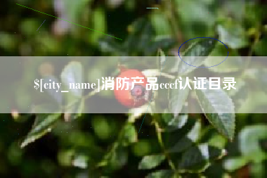 南阳消防产品cccf认证目录