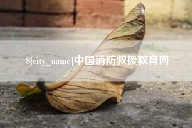 南阳中国消防救援教育网