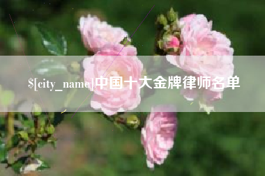 南阳中国十大金牌律师名单