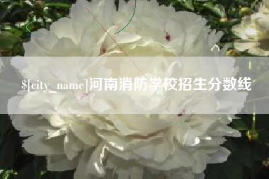 南阳河南消防学校招生分数线