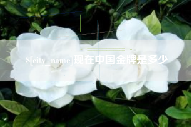 南阳现在中国金牌是多少