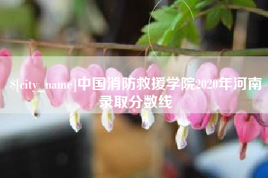 南阳中国消防救援学院2020年河南录取分数线