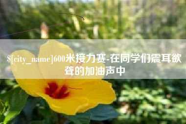 南阳600米接力赛-在同学们震耳欲聋的加油声中