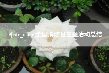 南阳全国消防日主题活动总结