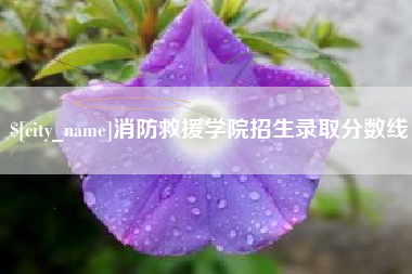 南阳消防救援学院招生录取分数线