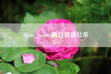 南阳执行信息公示
