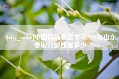 南阳中国消防救援学院2021年山东录取分数线是多少