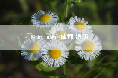 南阳成都 消防