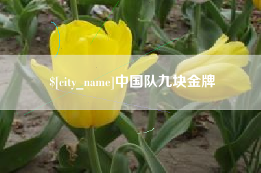 南阳中国队九块金牌