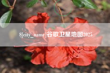 南阳谷歌卫星地图2025