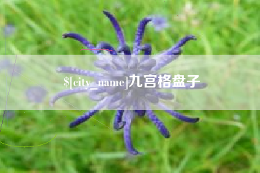 南阳九宫格盘子