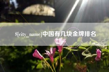 南阳中国有几块金牌排名