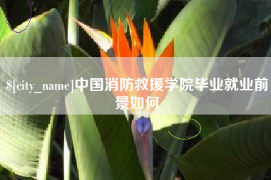 南阳中国消防救援学院毕业就业前景如何
