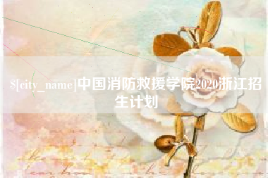 南阳中国消防救援学院2020浙江招生计划