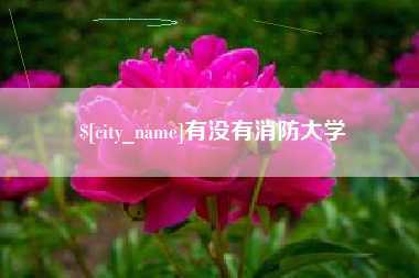 南阳有没有消防大学