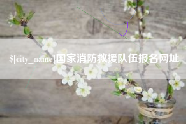 南阳国家消防救援队伍报名网址
