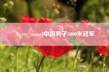 南阳中国男子5000米冠军