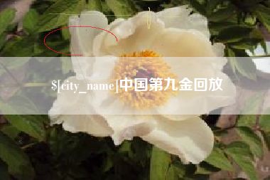 南阳中国第九金回放