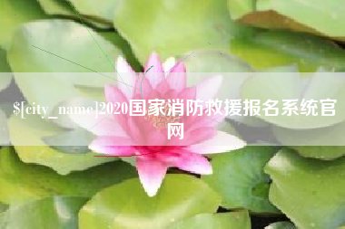 南阳2020国家消防救援报名系统官网