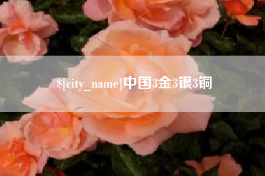 南阳中国3金3银3铜