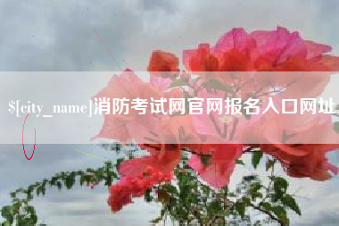 南阳消防考试网官网报名入口网址