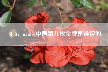 南阳中国第九枚金牌是谁得的