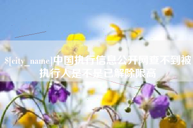 南阳中国执行信息公开网查不到被执行人是不是已解除限高