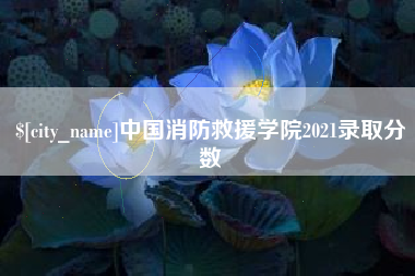 南阳中国消防救援学院2021录取分数